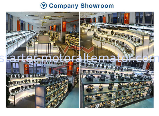 YTM Factory Price Engine Motor Starter Assembly 24V 11T 5.4KW 11030906 for Vehicle/Truck/Diesel