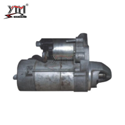 Motor des Elektrostarter-4280003970 4280003980 2810038020 2810038021 2810038030