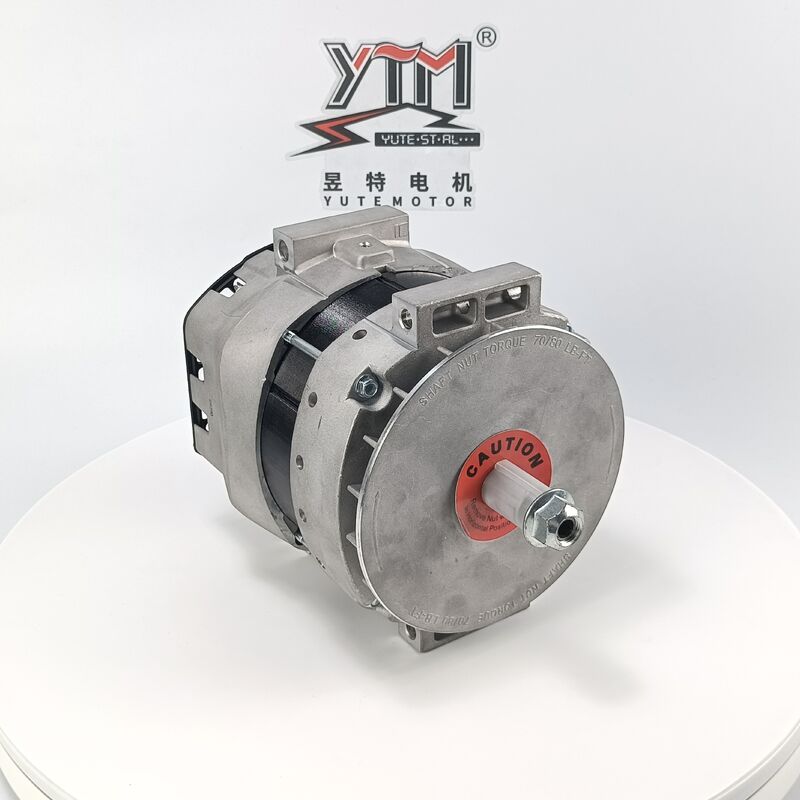 YTM 24V 250A DR290 Lichtmaschine OE 3643862 61006082 8600453 für 7321N Schwerlast-Ersatz