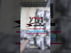 YTM starter motor factory inspection